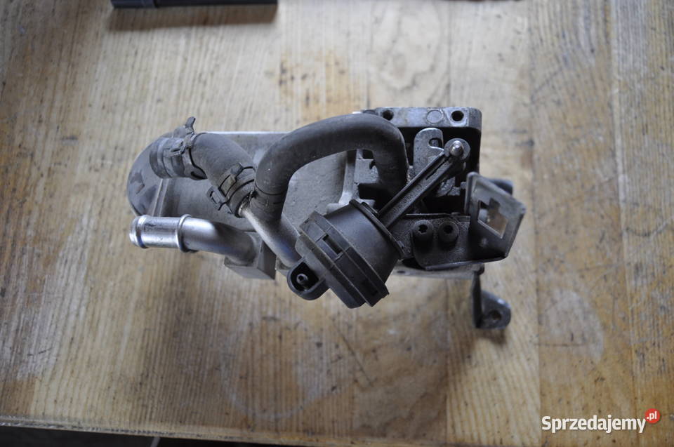 Chłodniczka egr Audi Q7 4L 30tdi BTW059131511 pomorskie Sierakowice sprzedam