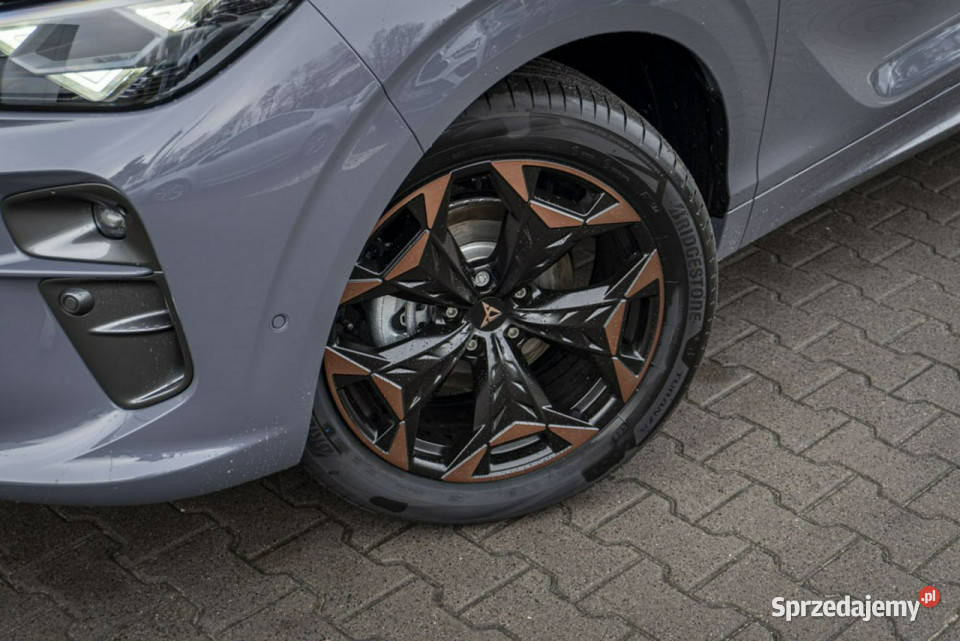 Cupra Terramar 20 TSI 204 DSG 4Drive Demo