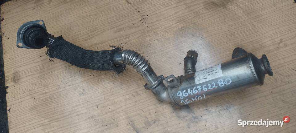 CITROEN BERLINGO PEUGEOT 307 407 PARTNER 16HDI Kielce
