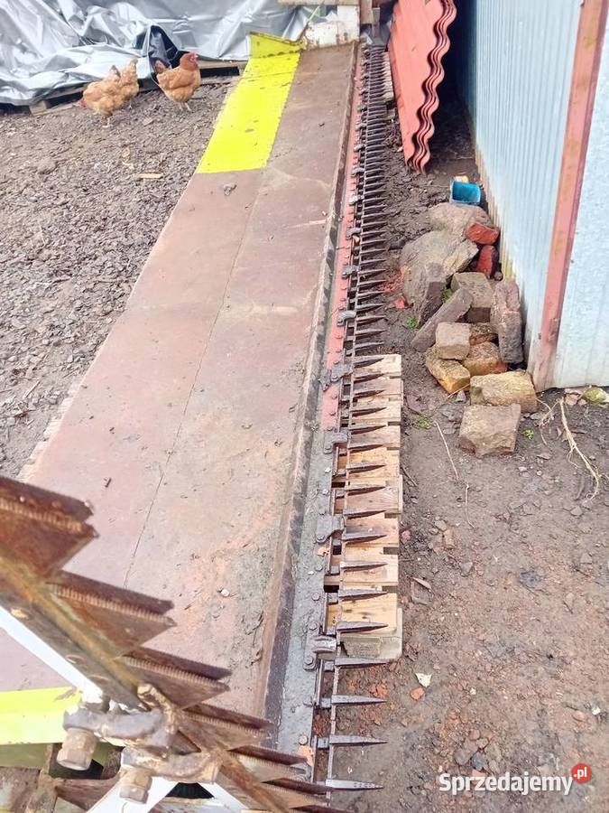 Stół do rzepaku 51m claas dolnośląskie Pichorowice