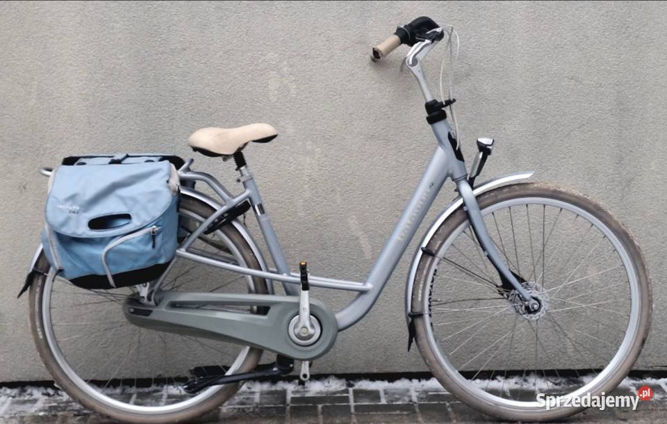 Rower Holenderski Batavus Mambo r48 możliwość lubelskie Hrubieszów