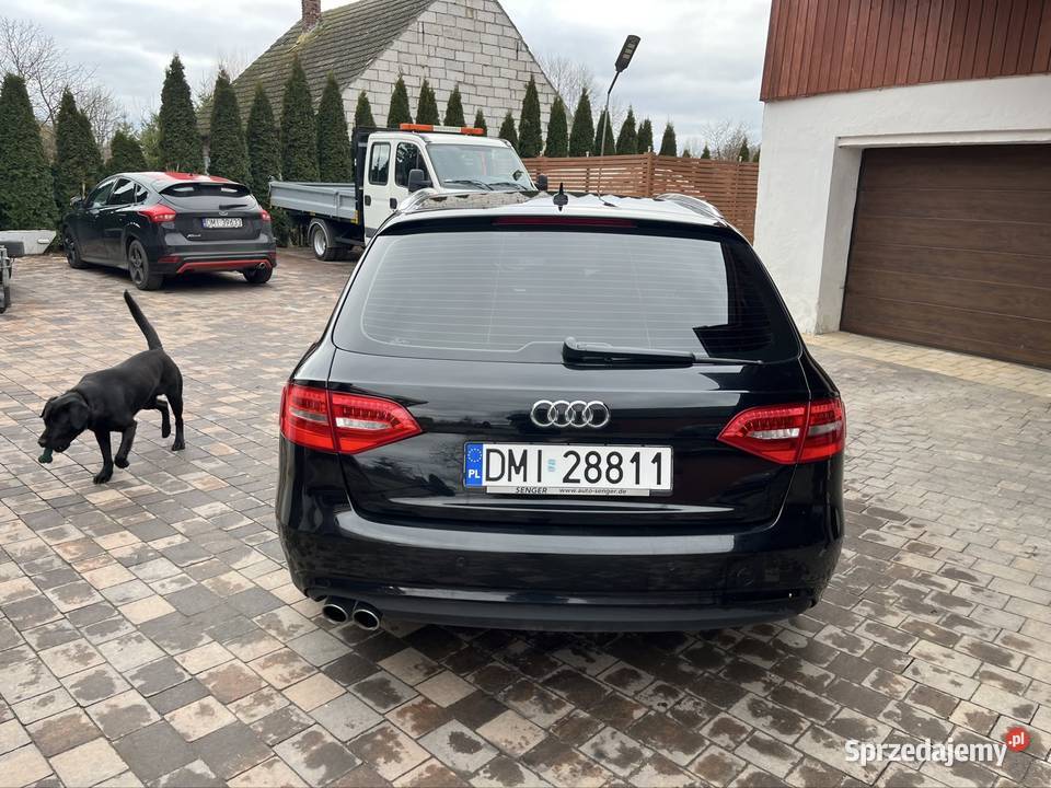 Audi a4 b8 20 190 szanowana czysta zadbana A4 A4 Krośnice