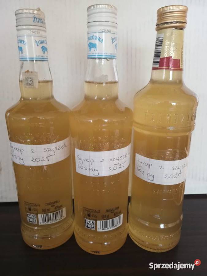 Syrop z szyszek sosny mazowieckie Żelechów