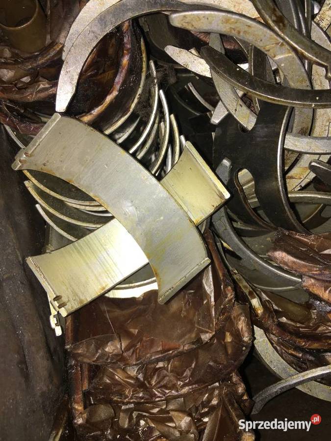 panewki star żukursuszetort25