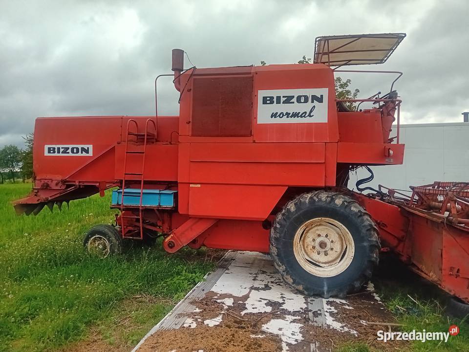 Bizon normal wersja eksportowa nieuszkodzony Siekierno-Podmieście