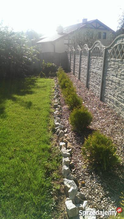 Dom Aleksandrów Łódzki Aleksandrów Łódzki