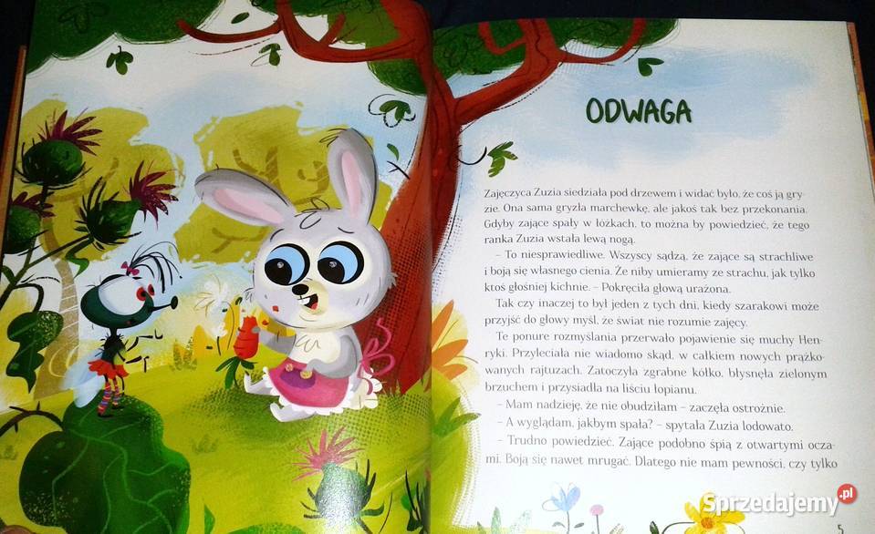 Gdy jesień nastanie na leśnej polanie czyli nowe twarda Chełm