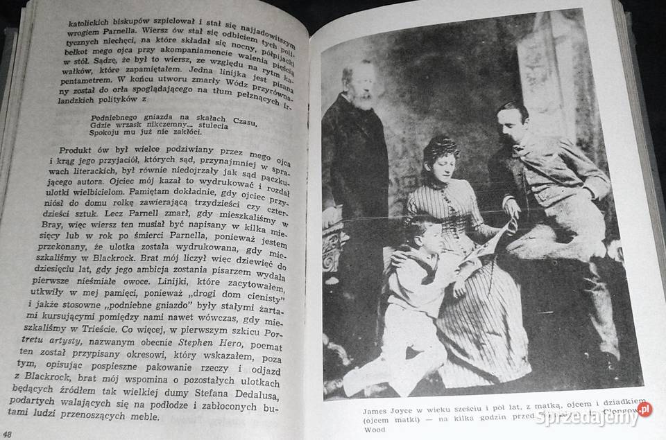 Stróż brata mego Stanislaus Joyce sprzedam