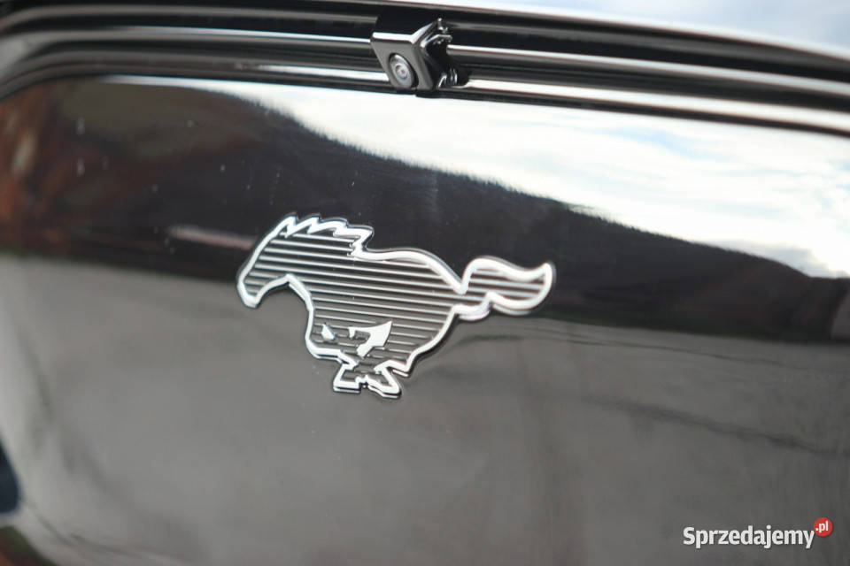 Ford Mustang MachE 2021 Elektryk 294 610 Zasięg aluminiowe felgi Nysa sprzedam