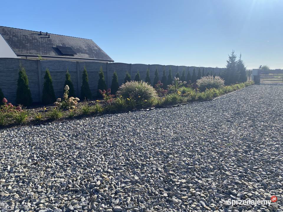 Dom jednorodzinny ze stawem na dużej działce wielkopolskie Skoki sprzedam