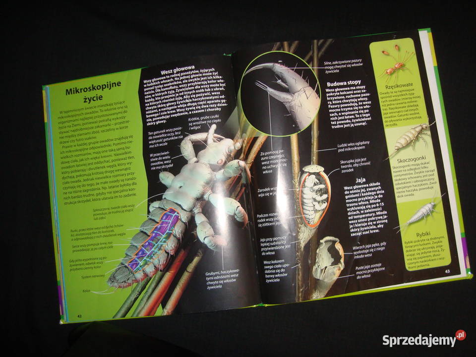 Natura Świat Owadów album z fotoopisem Tychy sprzedam