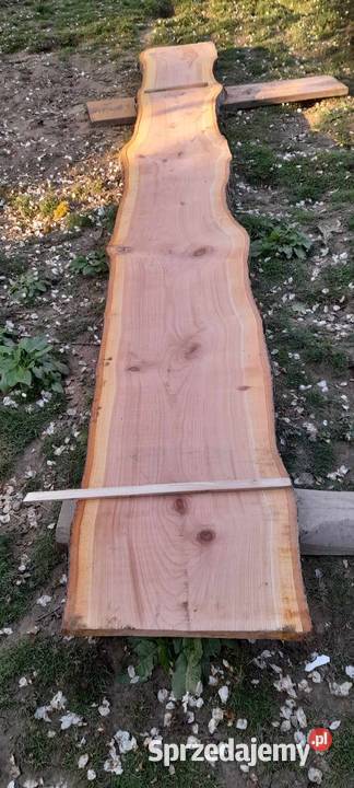 Brusy czereśnia gruszka 57 Babica