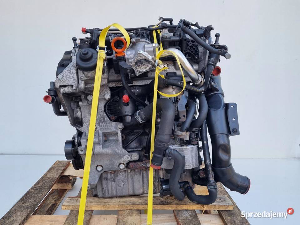 SILNIK KOMPLET VW Jetta III V 20 TDI 140 157 CBD Rudka sprzedam