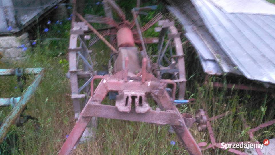 Kopaczka konna Amazone Dubeczno