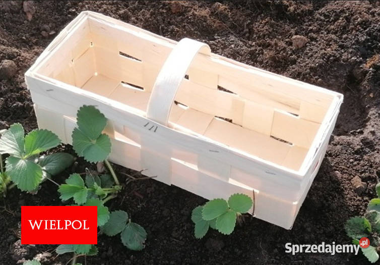 Łubianki drewniane Koszyki do truskawek polskiej wielkopolskie Wielichowo