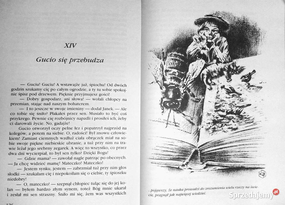 Gucio zaczarowany Zofia Urbanowska lubelskie