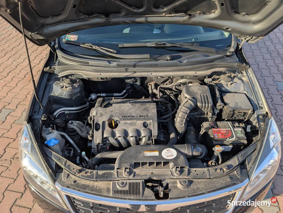 KIA Ceed 2010 14 90 Hatchback Benzyna nieuszkodzony Skała