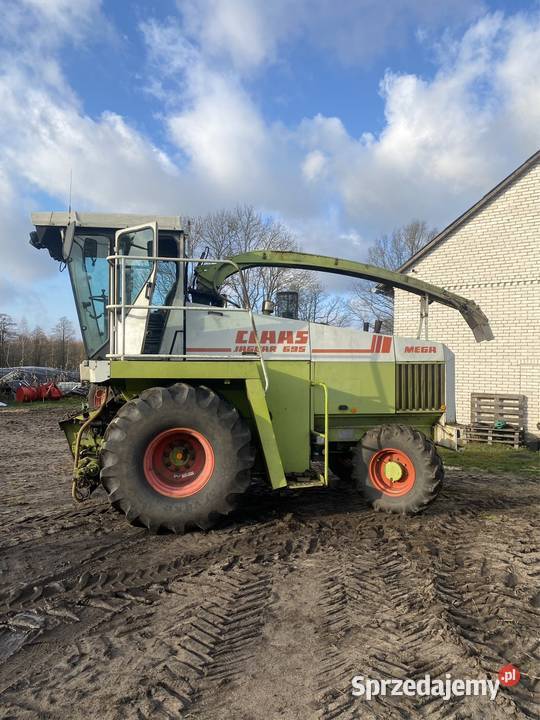 Sieczkarnia do kukurydzy claas jaguar 695 mega Ocięte sprzedam