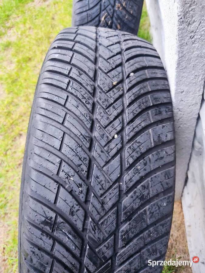 Opony wielosezonowe 22565R17 225 Kletnia