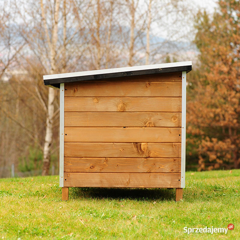 Buda psa ROCKY I małopolskie Trzemeśnia