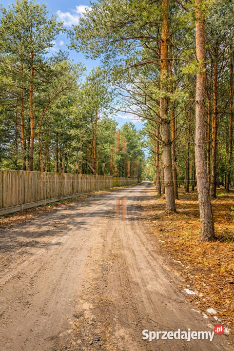 działka budowlana 3600 m Groszowice budowlana Grunty i działki sprzedam