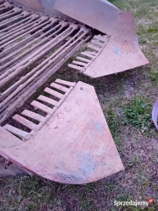 Kopaczka elewatorowa taśma metalowa Kopaczki lubelskie Ryki