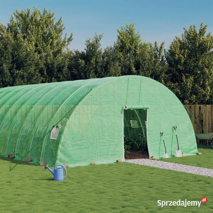 Szklarnia ze stalową ramą zielona 60 m 10x6x285