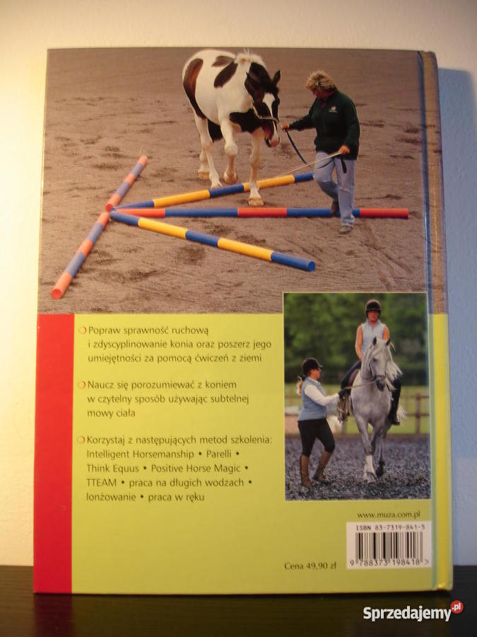 Nowoczesny trening konia Lesley Bayley