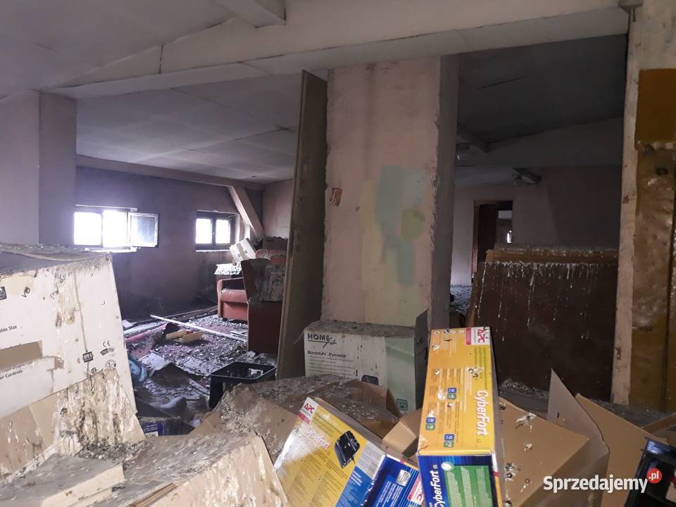 Ozonowanie domów infekcjach i chorobach Kolbuszowa