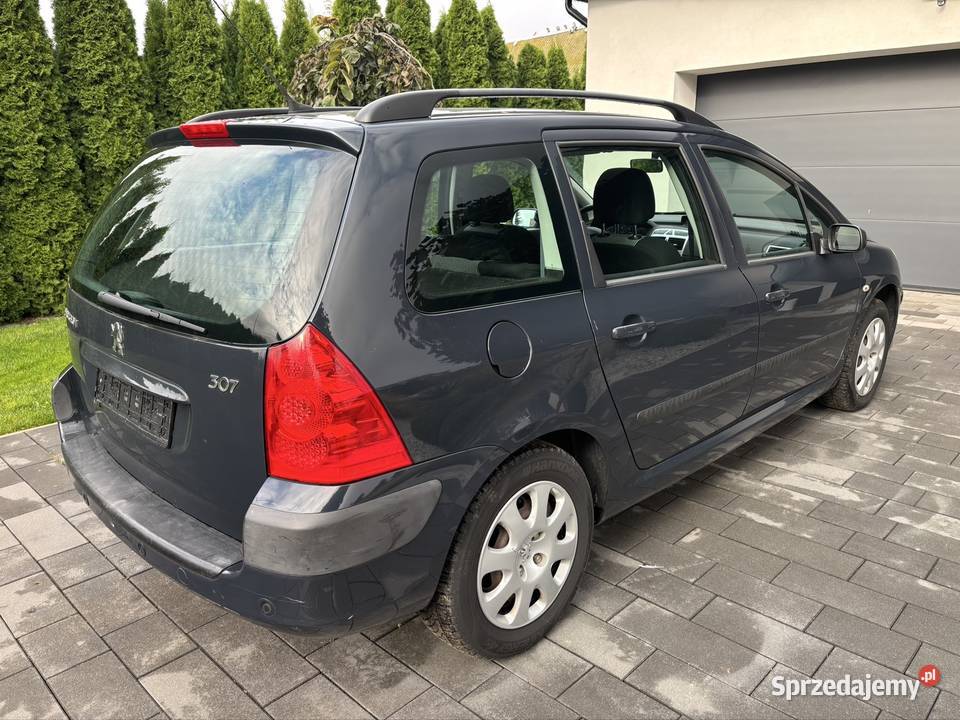 Peugeot 307 16 benzyna 2006 Rok produkcji 2006 Sieradz
