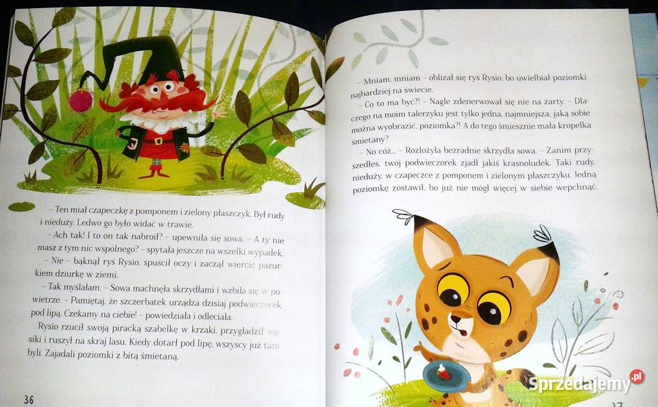 Zamieszanie na leśnej polanie czyli nowe Rok wydania 2019 Chełm