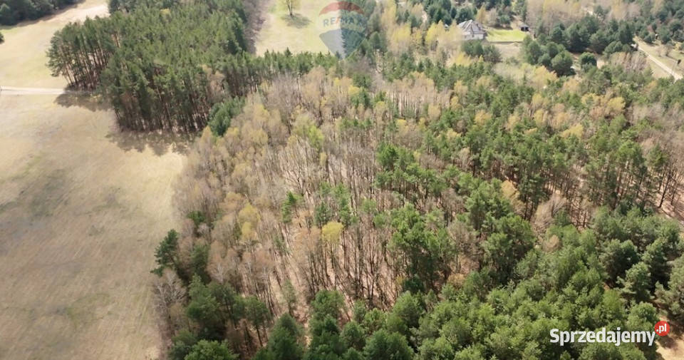 Działki budowlane zbuduj dom w lesie utwardzona Powązki