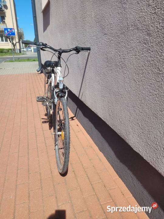 Rower damka aluminiowa rama Turek