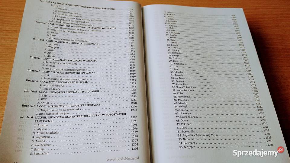 Terroryzm T 1 Brunon Hołyst Gdańsk