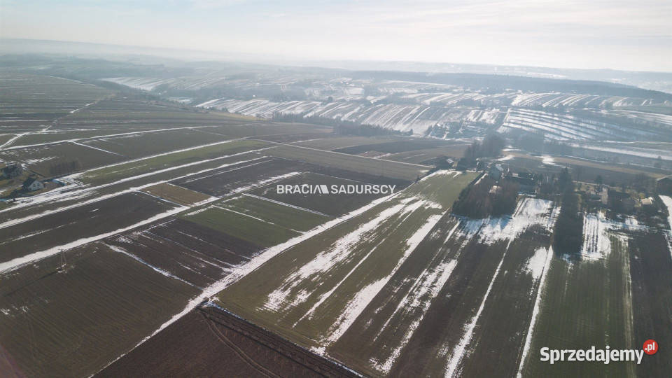 Grunt 15000m2 Gołyszyn Grunty i działki małopolskie