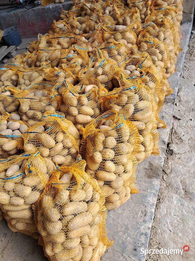 Sprzedam ziemniaki jadalne queen anna małopolskie Imbramowice sprzedam