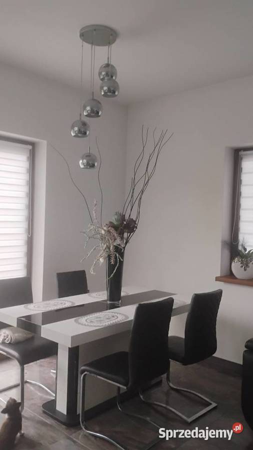 Sprzedam dom Nowe Miasto nad Pilicą