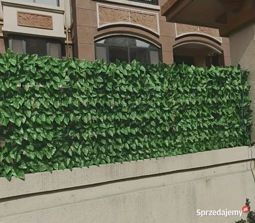 Żywopłot sztuczny bluszcz 3m x 50 Trytytki zielony Warszawa