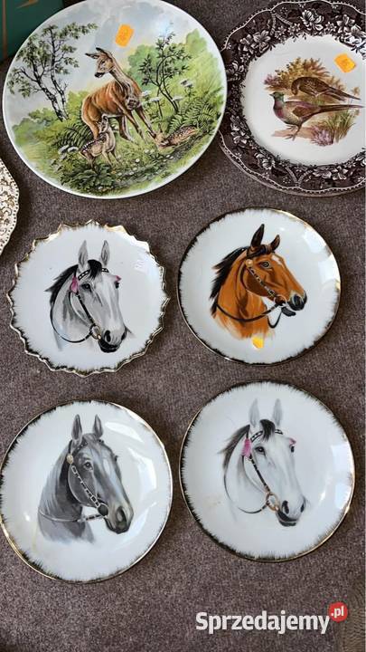 Talerz z koniem Do powieszenia pomorskie Gdańsk sprzedam