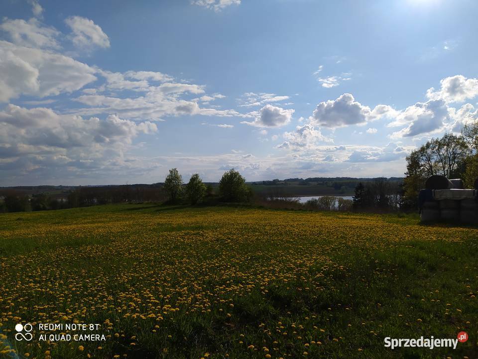 sprzedam dom w Bożym Okazyjna Domy Ruska Wieś