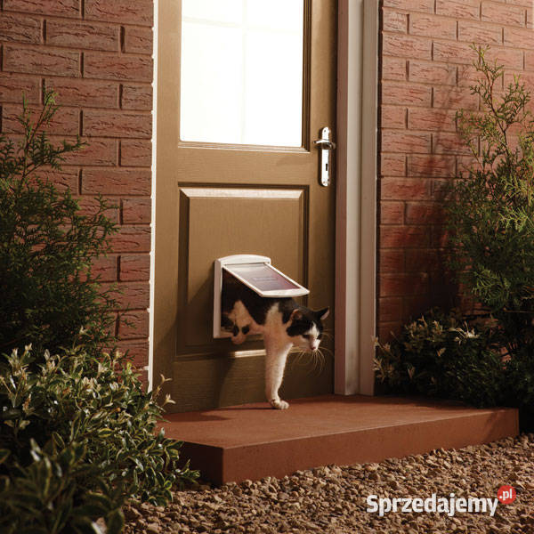 Drzwiczki okienko kota psa PetSafe staywell Wałbrzych sprzedam