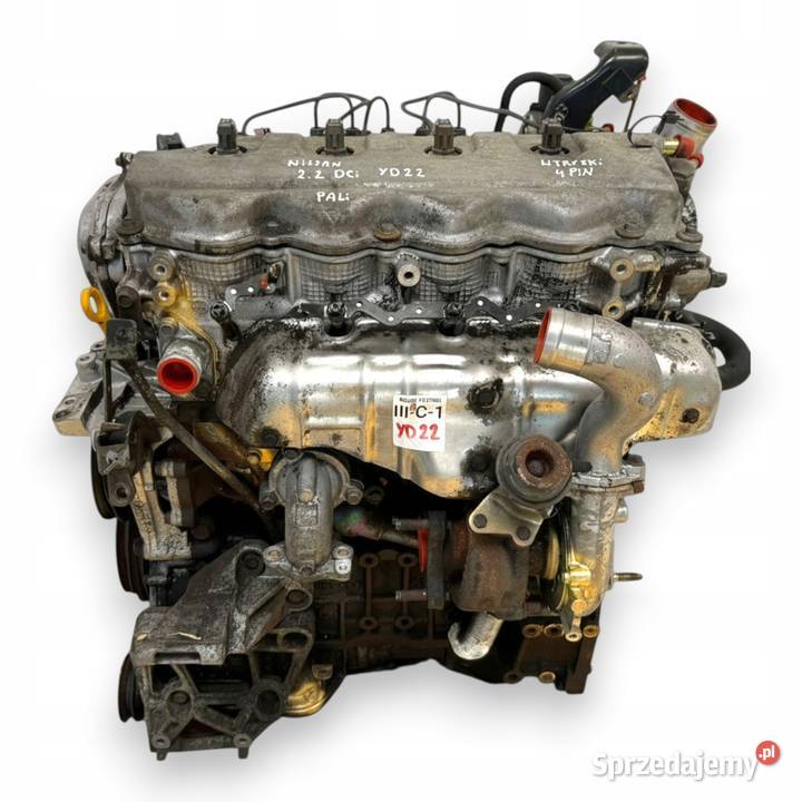 SILNIK YD22 Nissan XTrail Primera P12 22 DCI 136 Silniki kompletne Chełm