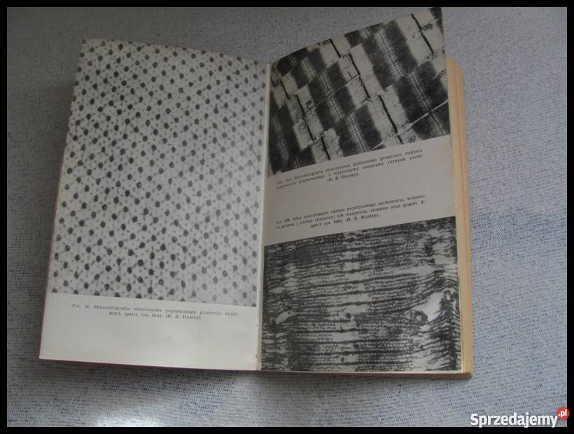 Podstawy biologii współczesnej Biologia komórki mazowieckie