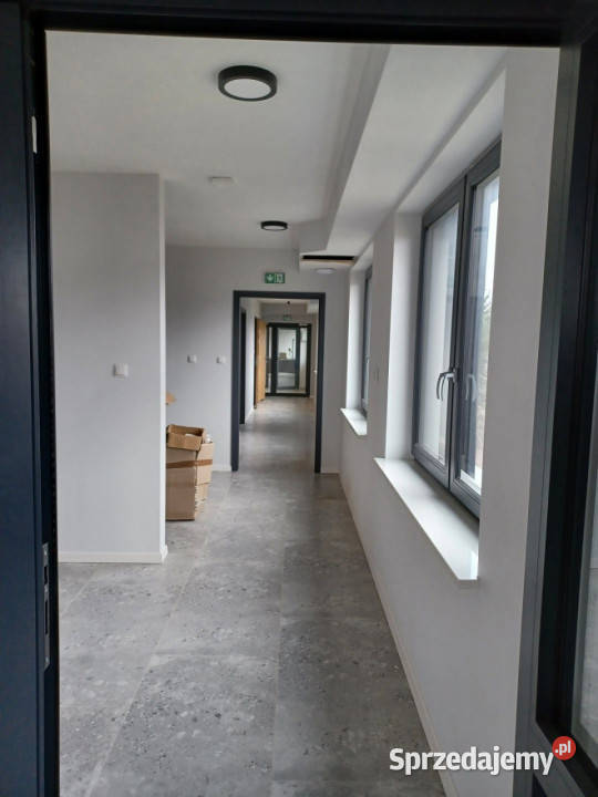 sprzedaży lokalu Kielce 65051m2