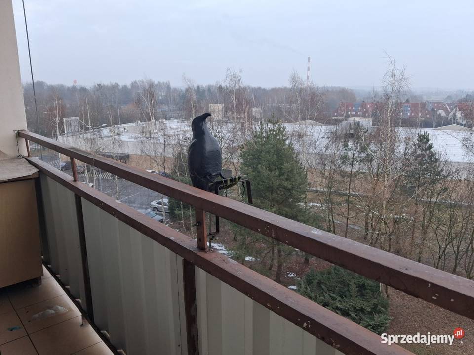 Obniżka ceny M4 osSikorskiegoniski blok Sprzedaż Żory