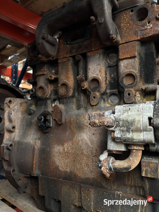 Perkins LF31227 Silnik Blok Tryb Koło Pasowe Jastrzębniki
