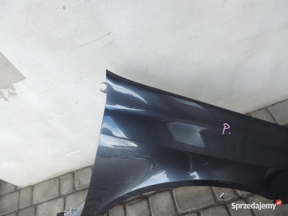 RENO LAGUNA 2 II BŁOTNIK PRAWY PRZEDNI TEB66 osobowe Nowy Sącz sprzedam