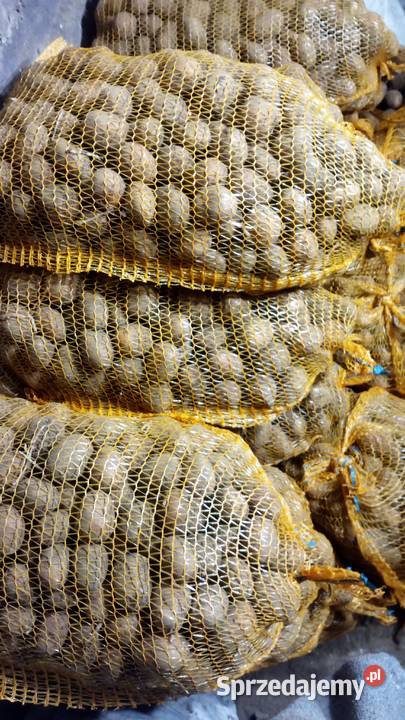 Sprzedam ziemniaki drobne wielkości sadzeniak Jarosław sprzedam