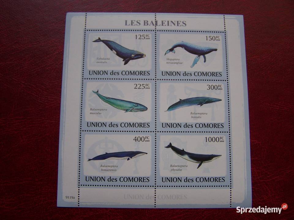 Komory 2009 MNH Fauna Wieloryby Tychy
