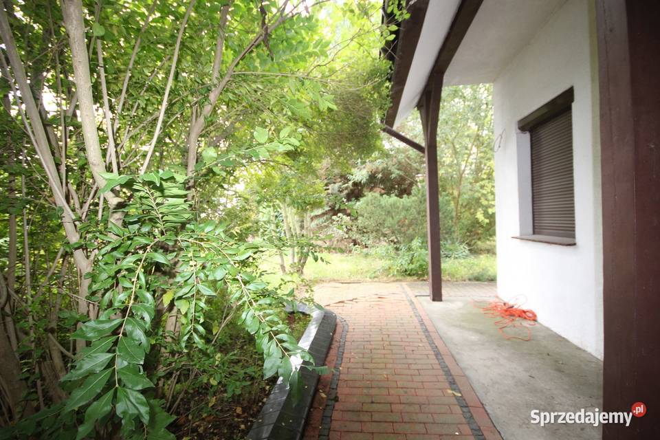 5pok 240met Dębowej BALKONOGRÓD2009 Mędłów strych Sprzedaż